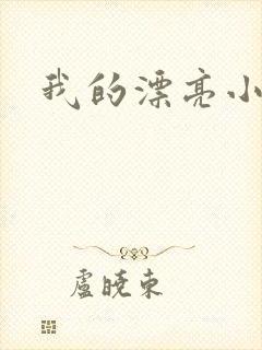 我的漂亮小后妈