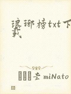 琅琊榜txt下载