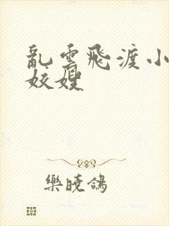 乱云飞渡小说之姣嫂