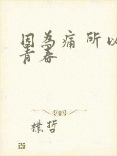 因为痛 所以叫青春