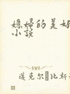 媳妇的美好时代小说封面