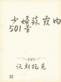 少妇苏霞肉欲第501章