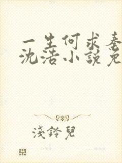 一生何求秦菲雪沈浩小说免费阅读全文笔趣阁封面