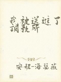 我被送进了私奴调教所