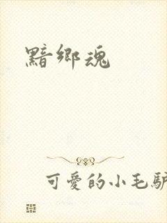 黯乡魂