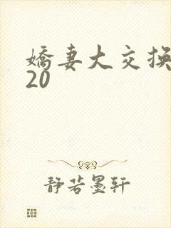 娇妻大交换1一20