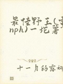最佳野王(电竞nph)一坨薯饼