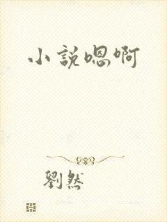 小说嗯啊
