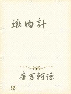炖肉计封面