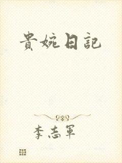 贵婉日记封面