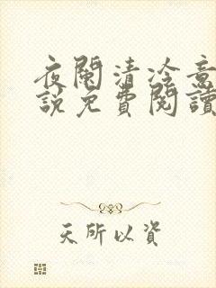 夜阑清冷意欢小说免费阅读封面