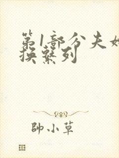 第1部分夫妇交换系列封面