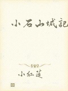 小石山城记封面