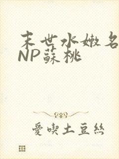 末世水嫩名器HNP苏桃