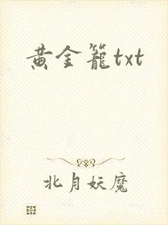 黄金笼txt