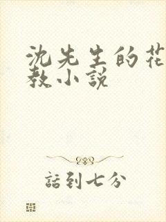 沈先生的花式管教小说