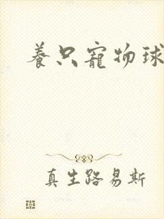 养只宠物球
