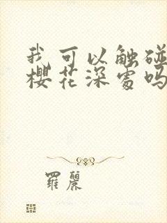 我可以触碰你的樱花深处吗封面