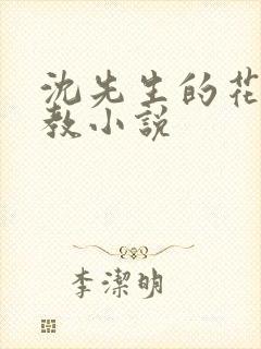 沈先生的花式调教小说