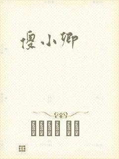 傻小卿封面