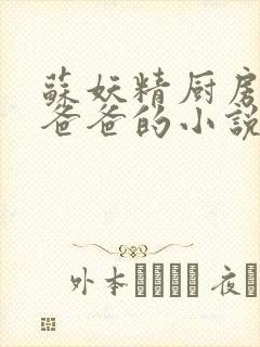 苏妖精厨房爹爹爸爸的小说