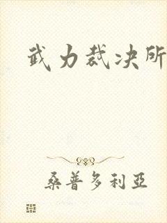 武力裁决所