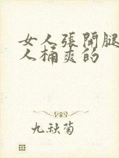 女人张开腿让男人桶爽的