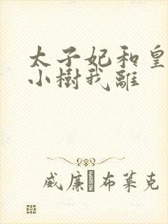 太子妃和皇上在小树我离封面