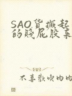 SAO货撅起你的贱屁股来