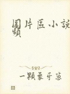 图片区小说区视频