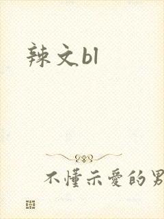 辣文bl封面