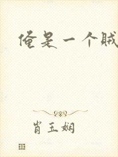 俺是一个贼
