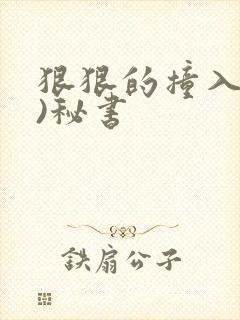 狠狠的撞入(h)秘书