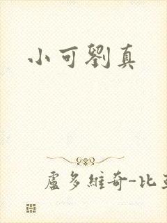 小可刘真