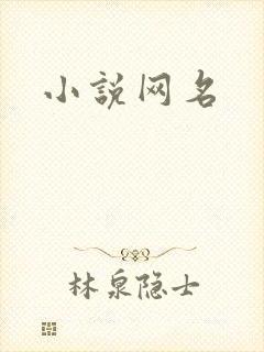 小说网名