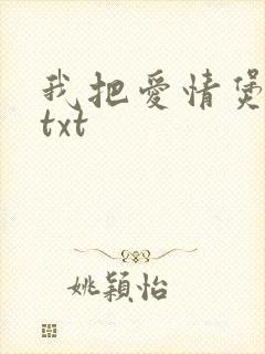 我把爱情煲成汤txt