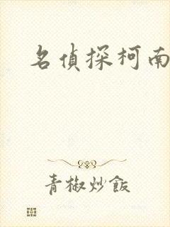 名侦探柯南h封面