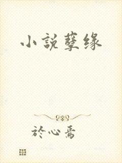 小说孽缘