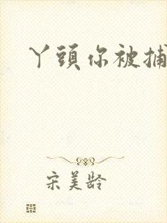 丫头你被捕了封面