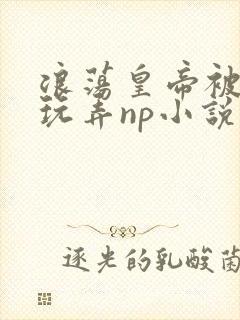 浪荡皇帝被多人玩弄np小说