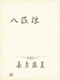 八匹狼