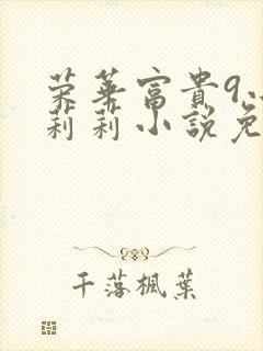 荣华富贵9小王莉莉小说免费阅读封面