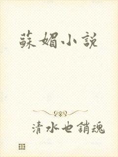 苏媚小说