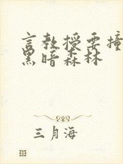 言教授要撞坏了黑暗森林