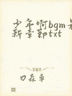 少年啊bgm最新章节txt