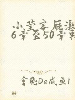 小莹客厅激情46章至50章软件介绍