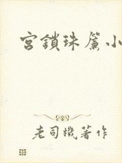 宫锁珠帘小说