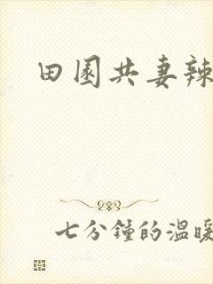 田园共妻辣
