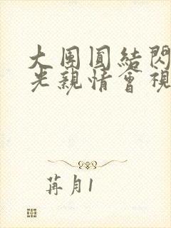 大团圆结闪闪发光亲情会视频封面
