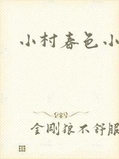 小村春色小说